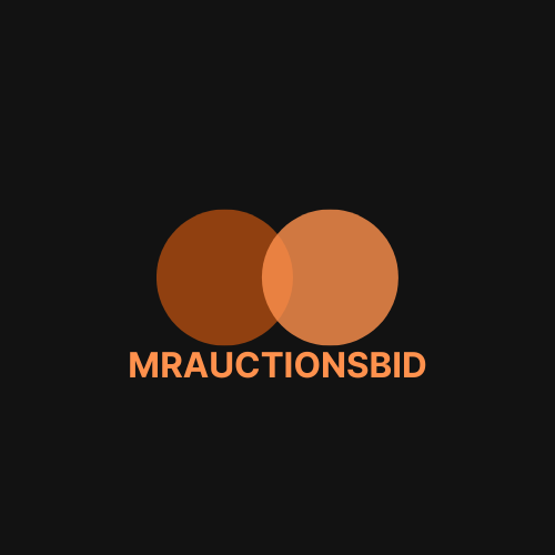 MrAuctionsBid Icon